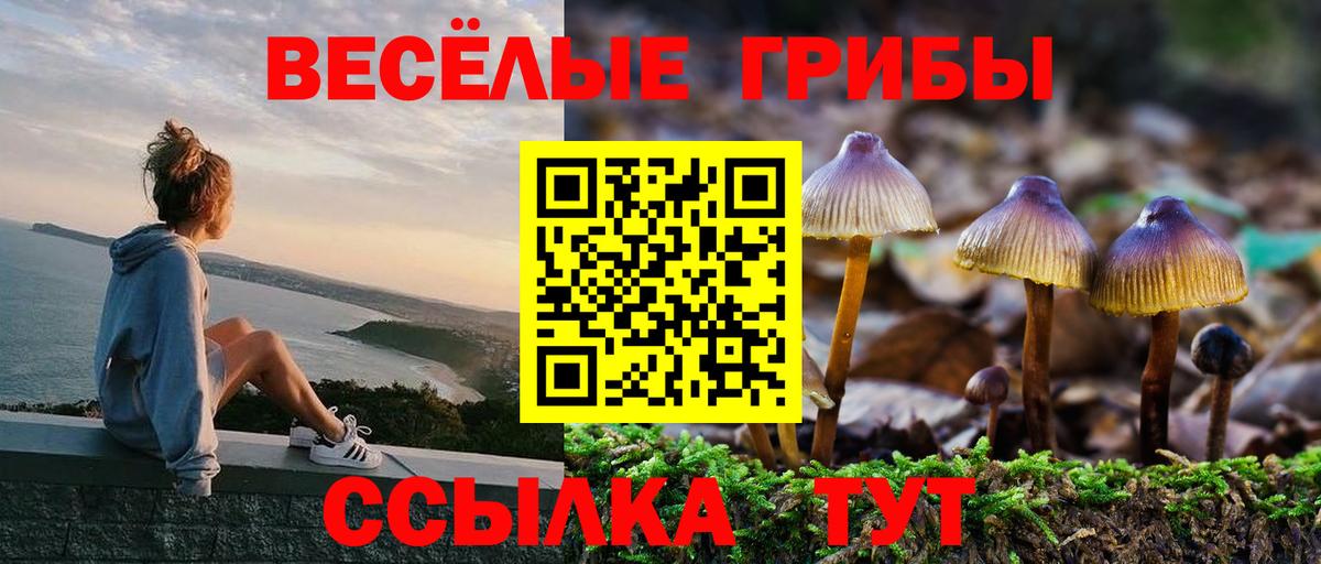Ярцево  Галлюциногенные грибы мицелий  Вход с VPN 